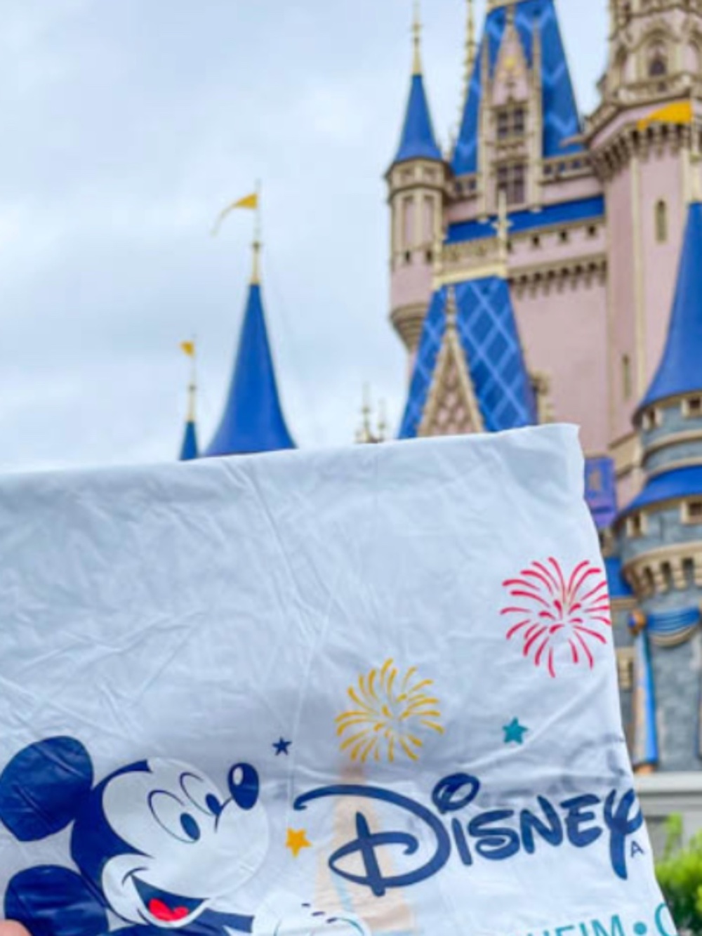 Disney Adult Clear Mickey Mouse Poncho